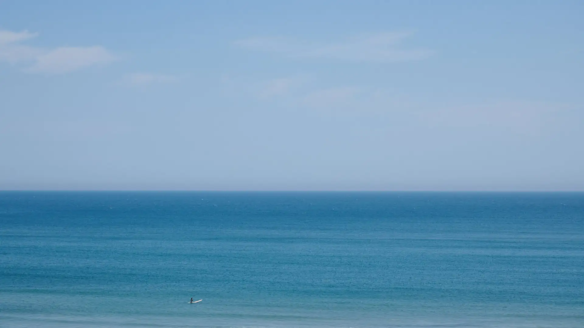 楢葉町をさつまいもの名所に！未経験からでも始められる成長のチャンス : ヒーローイメージ